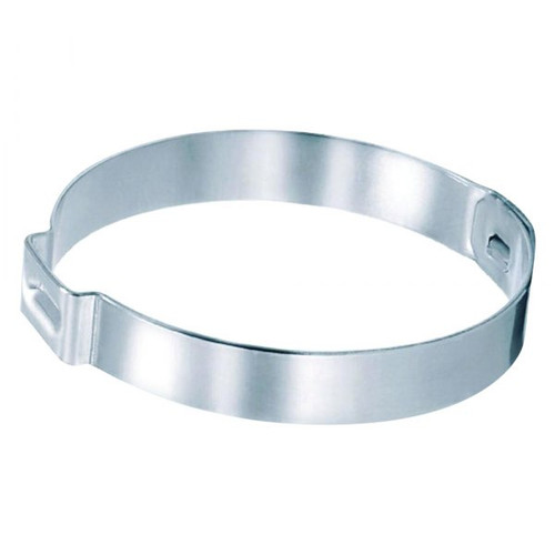 T.H. Marine 113 Stplss Ear Hse Clmp-100 Pk 16700007