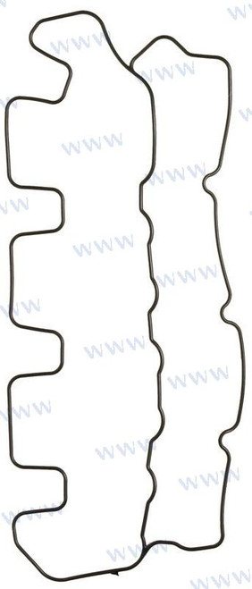 Recambios Marinos Valve Cover Gasket D2 Rec3583546