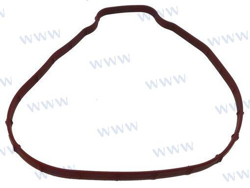 Recambios Marinos Gasket Rec3841013