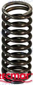 Recambios Marinos Valve Spring Rec466384