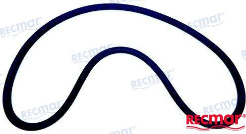 Recambios Marinos Transom Seal Rec43713