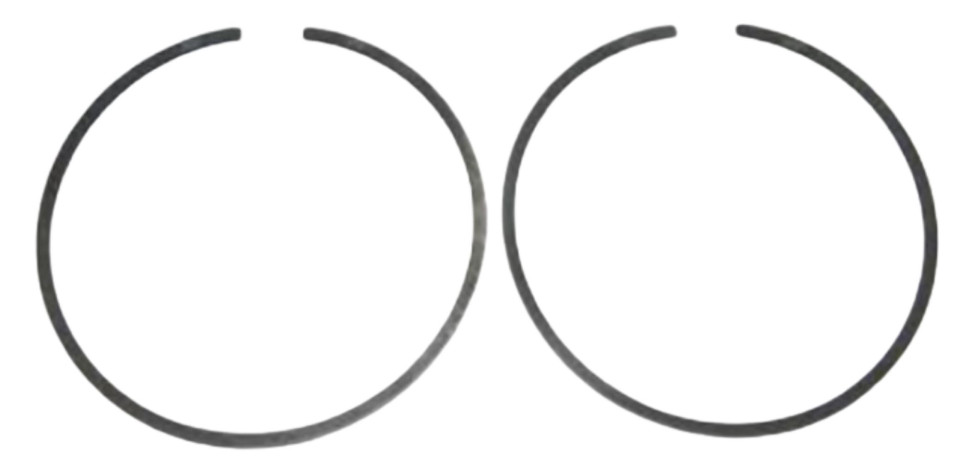Brp Us Inc Ring Ay_Piston-Std 5005046