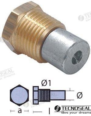 Recambios Marinos Anodes W/Plug Boiler <" Bspt Ten01452