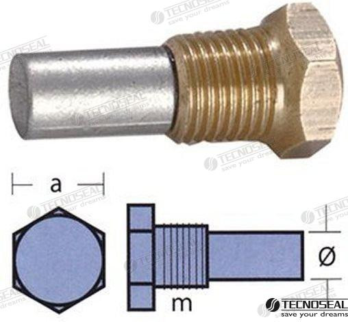Recambios Marinos Anode Bukh W/Tap Ten02053T