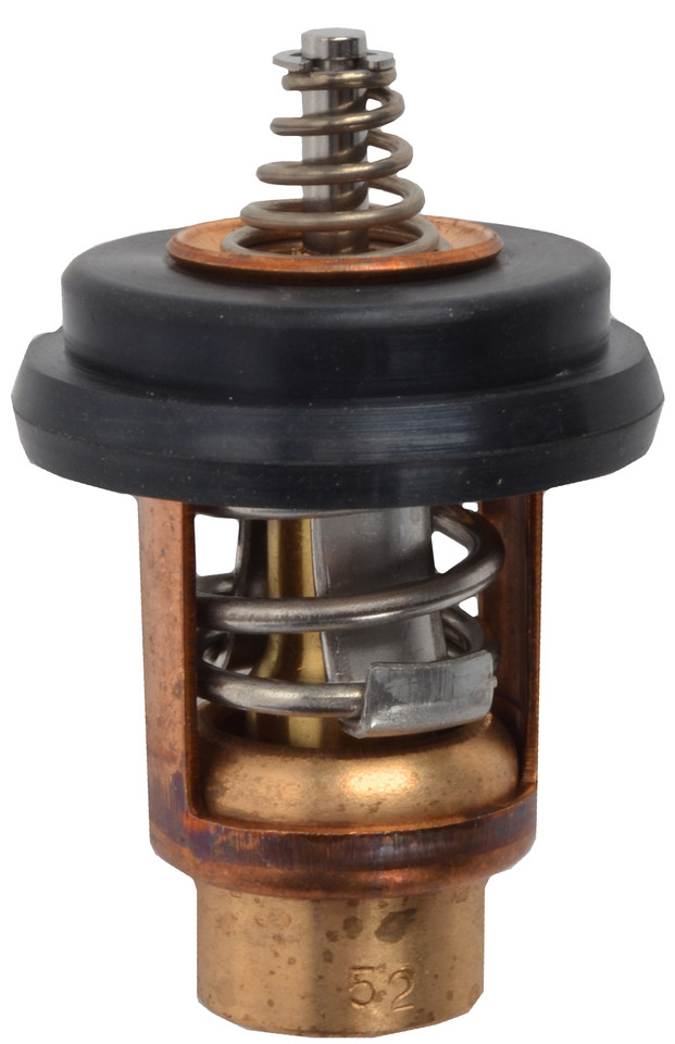 Brp Us Inc Thermostat 5040958