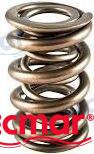 Recambios Marinos Valve Spring Rec21310068