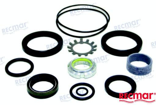 Recambios Marinos Gasket Set Rec876267
