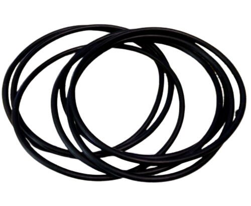 Brp Us Inc O-Ring (10/Pk) 313446