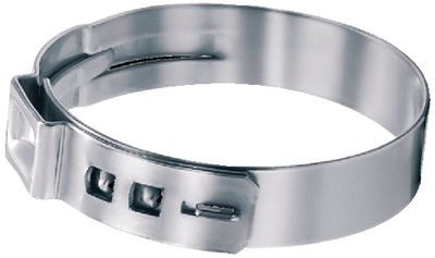 T.H. Marine 316 Stplss Ear Hse Clmp-100 Pk 16700040