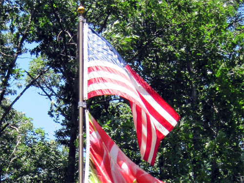 Uncommon USA Uncommon usa