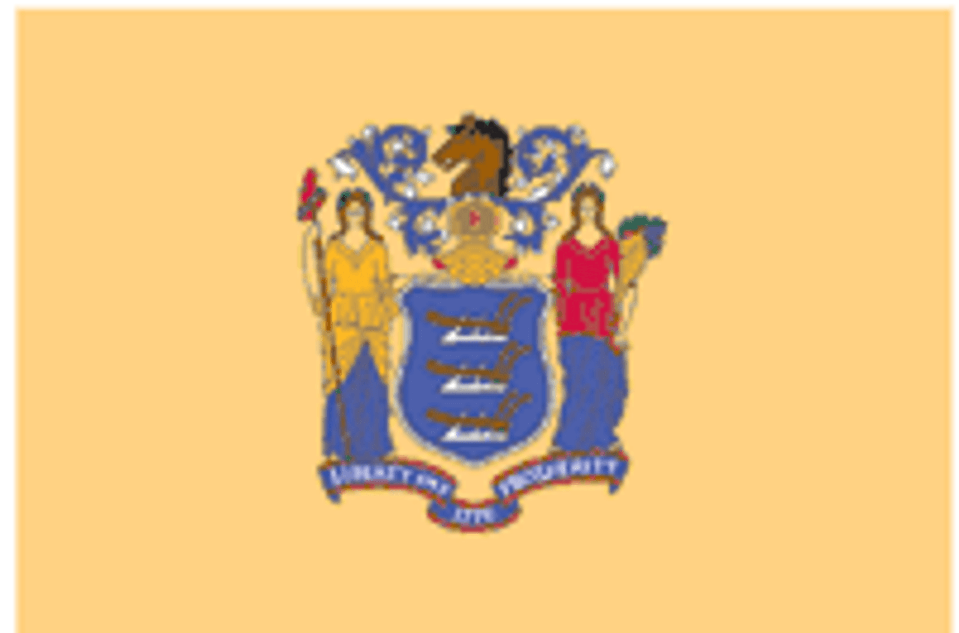 New Jersey State Flag 4x6 Uncommon USA new-jersey-state-flag-4x6-uncommon-usa