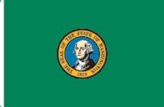 Washington State Flag 3x5