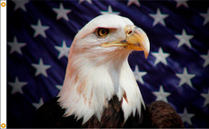 Starfield Eagle Flag 3x5