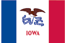 Iowa State Flag 2x3