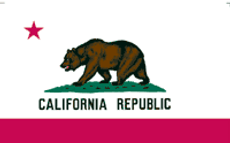 California State Flag 4x6