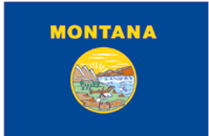 Montana State Flag 3x5 Poly-Max