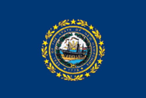 New Hampshire State Flag 4x6