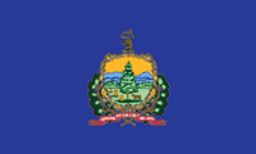 Vermont State Flag 2x3