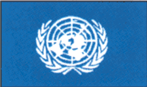 United Nations Flag 3x5