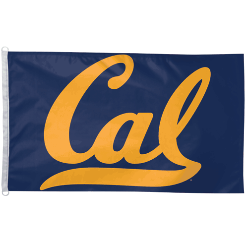 University of California Flag 3x5