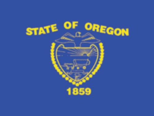 Oregon State Flag 4x6