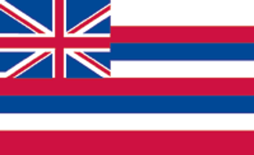 Hawaii State Flag 3x5