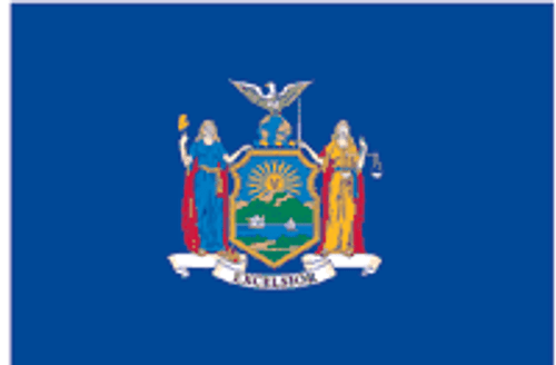 New York State Flag 4x6