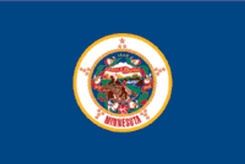 Minnesota State Flag 3x5