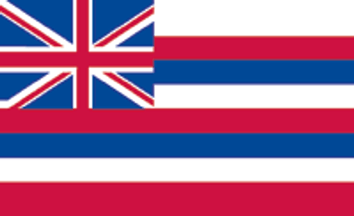 Hawaii State Flag 4x6