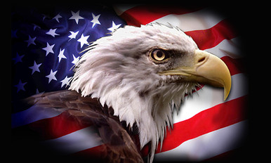 American eagle, eagles, flag, HD phone wallpaper