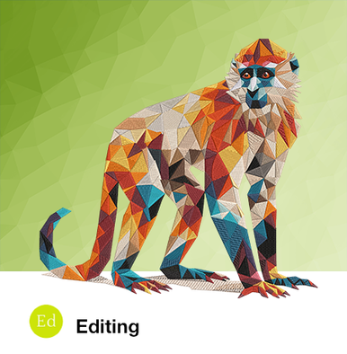 Update from Editing Digital Edition to EmbroideryStudio 2025 Editing LATAM