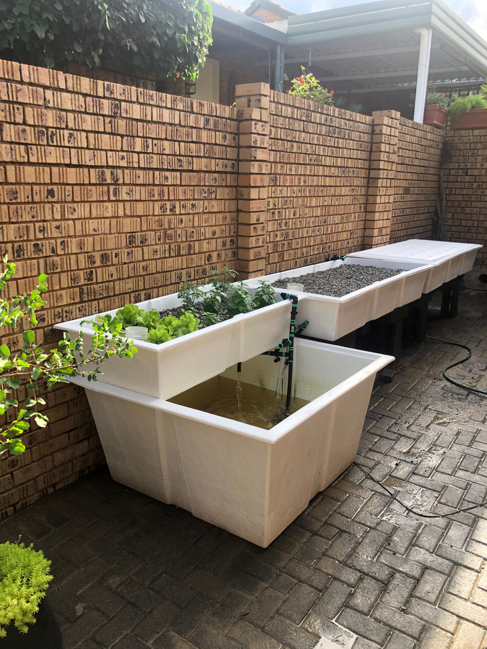 1.2m x 1.2 x 650mm Fibreglass Fish Tank for backyard Aquaponics