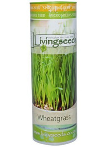 Wheat Grass Seeds  - 200g Tube