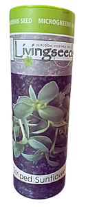 Striped Sunflower microgreens seeds 