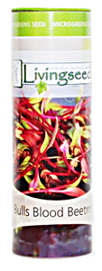 Bulls Blood Beetroot Microgreens Seeds - 70g Tube Bulls Blood Beetroot Microgreens Seeds - 70g Tube
