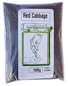 Red Cabbage Microgreens Seeds -100 Grams Red Cabbage Microgreens Seeds -100 Grams