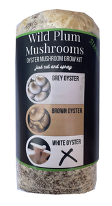 White Oyster Mushroom Kit White Oyster Mushroom Kit