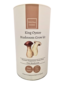 king oyster mushroom gift box king oyster mushroom gift box