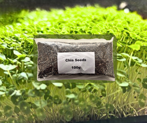 Chia Microgreens Seeds - 100g Pack Chia Microgreens Seeds - 100g Pack