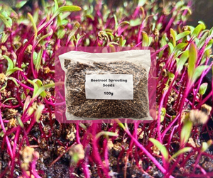 Beetroot Microgreens Seeds  - 100g Pack