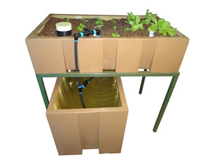 AquaEco Aquaponics System.  AquaEco Aquaponics System.