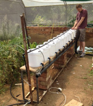 How to build a Dutch Bucket plant grow area for your Aquaponics System How to build a Dutch Bucket plant grow area for your Aquaponics System