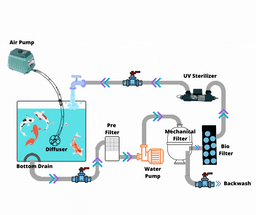 HOW TO KEEP YOUR KOI POND AND FISH POND WATER SPARKLING CLEAN: THE BASICS HOW TO KEEP YOUR KOI POND AND FISH POND WATER SPARKLING CLEAN: THE BASICS