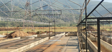 SAPPI's AQUAPONICS VOYAGE: FROM VISION TO FRUITION - A REMARKABLE SUSTAINABLE ACHIEVEMENT SAPPI's AQUAPONICS VOYAGE: FROM VISION TO FRUITION - A REMARKABLE SUSTAINABLE ACHIEVEMENT