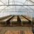Fiberglass Plant GrowBed - 1.8m x 0.8m x 0.30m 
