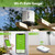 RAINPOINT SMART WIRELESS RAIN GAUGE