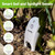 RAINPOINT 3 in 1 Smart Wireless Soil Sensor