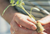 French Seedling Tray - 200 Holes  - 25mm
