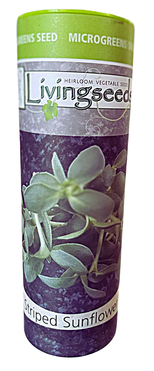 Striped Sunflower microgreens seeds 