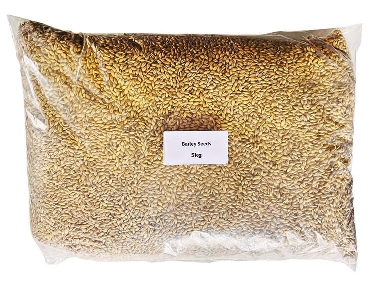 % Kg Barley seed for fodder
